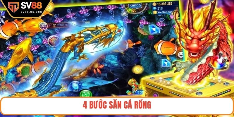 4 bước săn cá rồng