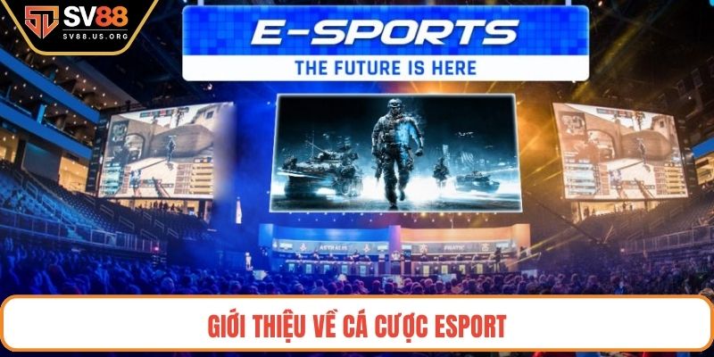 Cá cược Esport SV88 là sân chơi đẳng cấp dành cho người yêu thích thể thao