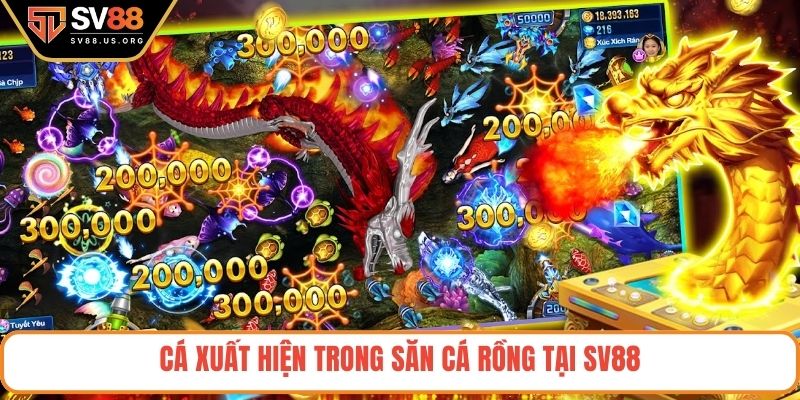 Cá xuất hiện trong săn cá rồng tại SV88
