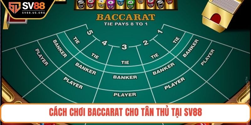 Cách chơi Baccarat cho tân thủ tại SV88