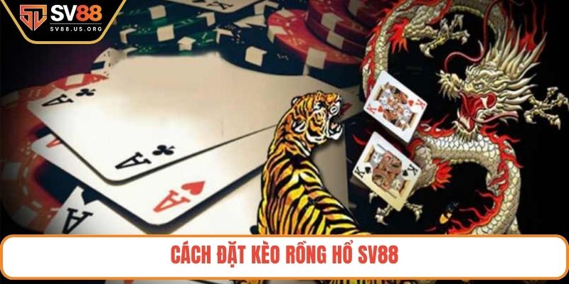 Cách đặt kèo rồng hổ SV88