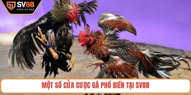 Một số cửa cược gà phổ biến tại SV88