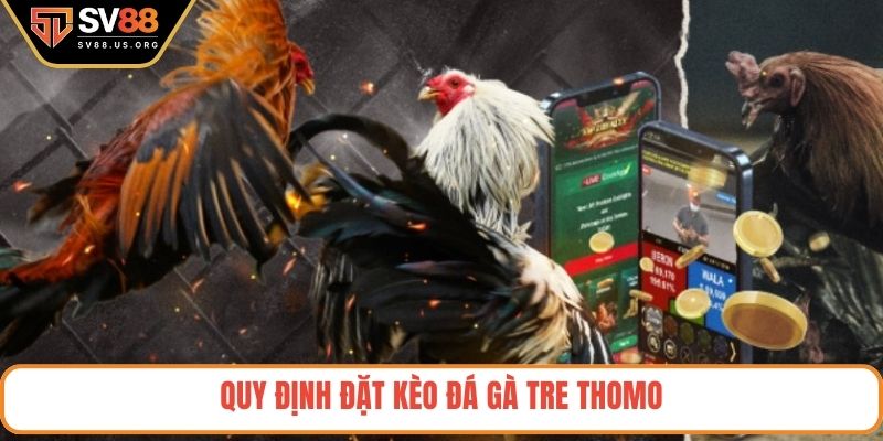 Quy định đặt kèo đá gà tre Thomo