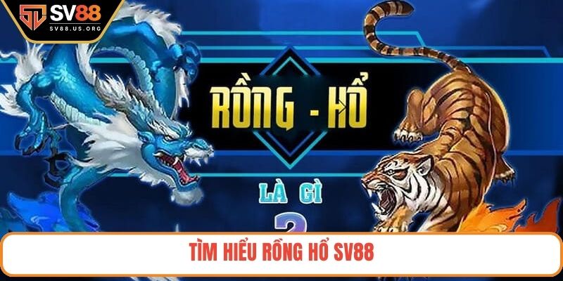 Tìm hiểu rồng hổ SV88